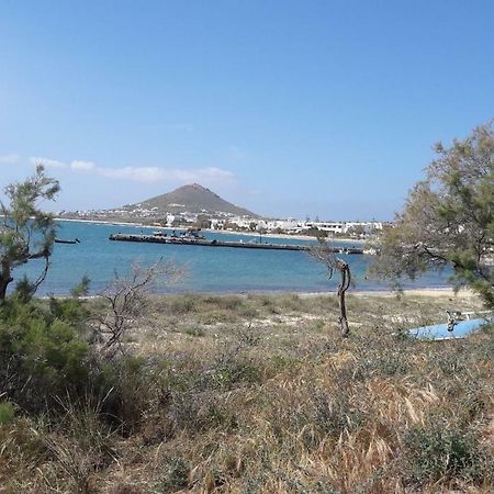 Chez Irene Sweet Pension Naxos City Екстер'єр фото