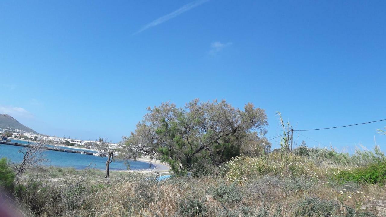 Chez Irene Sweet Pension Naxos City Екстер'єр фото